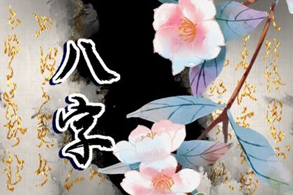 车牌测号码吉凶查询,车牌号吉凶占卜,车牌预测号码吉凶查询,查车牌号吉凶查询系统,车牌测算吉凶查询免费