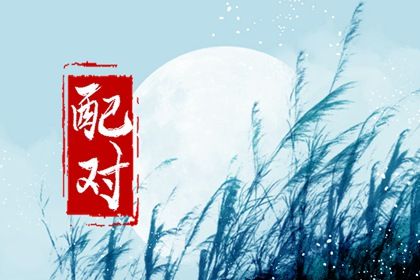 纳音配对:比和、相生与平衡