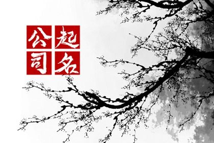 公司起名通则