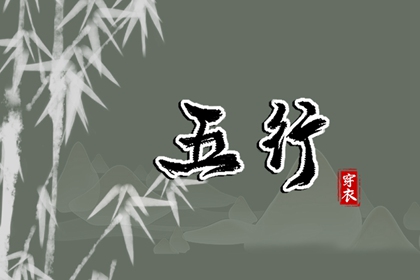 数字化五行参考用法